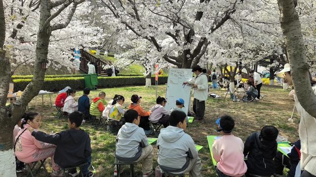 旅顺樱花园：早樱领跑，春天从这里出发