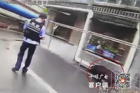 昨天下午，流浪藏獒潜入十堰一小区，晚9点终被制伏图片