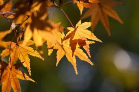 心眼坏的人，经常把这几句话挂在嘴边，不要深交图片