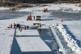 哈尔滨的冰，究竟是怎么采的？图片