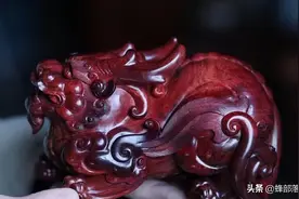 不长肛门，只吃不拉，习惯于“憋屎”的昆虫，它们真的好受吗？图片