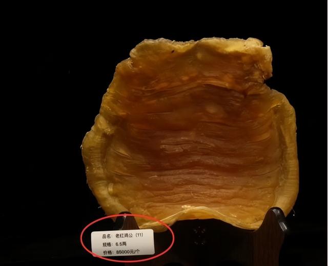 花胶越老越值钱吗 2026年花胶越老越值钱吗图片