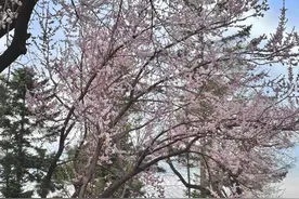 @“旅游特种兵”，这篇推送主打的就是心动！图片