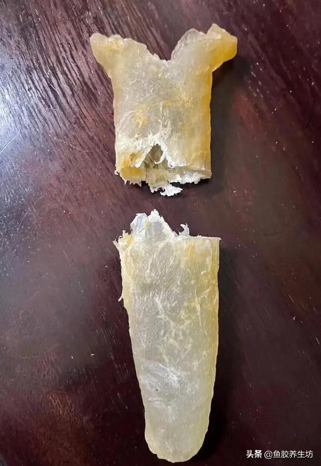 人工鱼胶是什么样的 2025年人造鱼胶