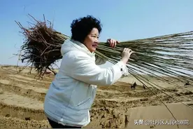 儿子走了以后，她把思念化作1000万棵树图片