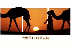 跟着习主席看世界 | 走进“石油王国”沙特阿拉伯图片