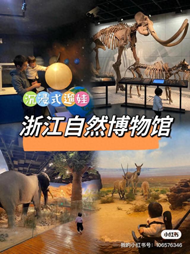 浙江自然博物馆(杭州自然博物馆人体标本是真的吗)