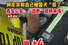 一名身穿黄色裙子的小姐姐被一只警犬用尾巴“扇了四次”图片