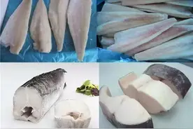 真假鳕鱼，傻傻分不清楚？图片