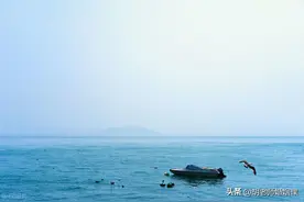 家有“不思进取”的咸鱼老公，让人窒息？不妨换个角度看问题图片