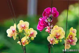 10000万个“口”到底是个什么字？图片