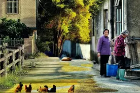 照片也能传递温度！人文景象这样拍就对了！（影展点评第586期）图片