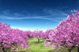 感恩缘分让我们相遇，一场遇见，一生情深，你是我一辈子牵挂的人图片