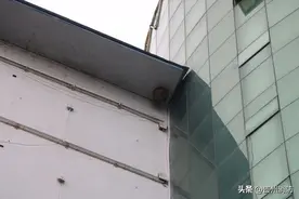 马蜂也想“上班”？飞到公司安家...幸亏遵义消防员出马图片