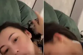 张柏芝躺床上与狗互动被咬，表情痛苦尖叫不断，后脖颈胶布亮了图片