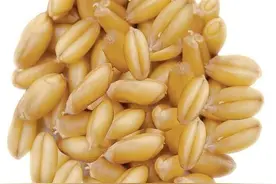 农民朋友眼中的大数据是什么样的？大数据的计量单位图片