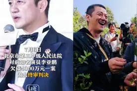 李亚鹏投资房地产失败，欠巨额债务不还，遭强制执行图片