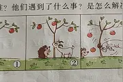54篇常考多图看图写话（附范文）图片
