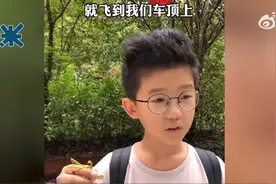 12岁少年成“昆虫科普大神”，如何让孩子一直保持学习热情？图片