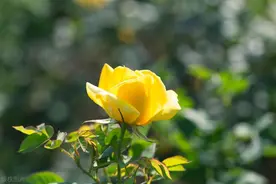 用自己照片当微信头像的人，往往是这3种人图片