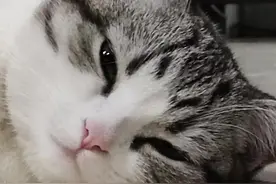 洗洗睡吧，“钟小姐”到此为止图片