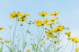 一个家庭是否聚财，别看房子车子，看以下四件事图片