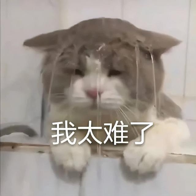 冷＋雨＋风！上犹未来天气