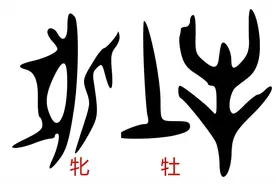 甲骨文演义“牝、牡”字：对公母男女及阴阳解读破解华夏文明密码图片