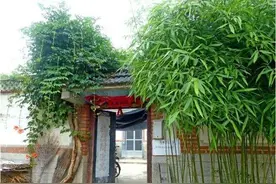 “门前不栽竹，屋后不种树”，老祖先的话不是迷信，有科学依据的图片