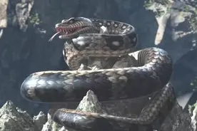 巨蟒有多大？头大如山丘，首尾几十里，卷浪怒覆舟图片