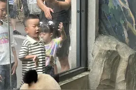 从“奥运宝宝”到“大运宝宝”，这里的超人气选手也太多了吧图片