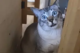 19岁女孩在火车上睡觉，被陌生男子偷亲图片