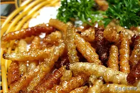 云南美食文化——昆虫类传统经典菜肴18例图片