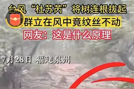 不说你不知，原来“压力山大”是有来由和科学依据的！图片