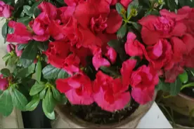 不干不净吃了没病，是民间谚语还是哲理图片