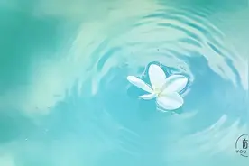 5个逆向思维小故事，很短，却改变了很多人！图片