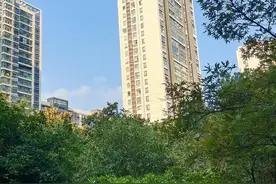 皮肤黄怎调理？图片