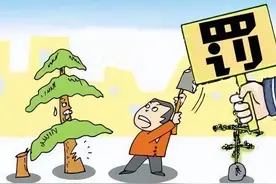 法律解说：自己家栽种的林木，为何也不能随意采伐？图片