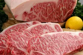 1公斤和牛卖1.2万？曾吃不到牛肉的日本人，如何培育出顶级和牛？图片