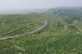 这么近 那么美 周末到河北（73）｜张家口张北：草原天路气候凉 夏日避暑好风光图片