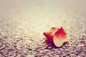 有没有发现：生活中，过度的付出，渐渐地，都成了“理所当然”图片