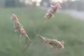 人死后有没有魂魄和意识？图片