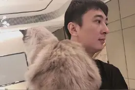 王思聪疑升级当爸！网友晒其抱娃照并配文“好爸爸”图片