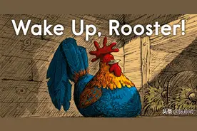 「1」Wake Up,Rooster! 公鸡醒醒图片