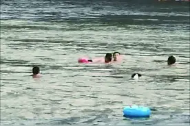 男孩溺水，随时会被江水吞没，一条狗也随主人下水救人图片