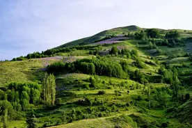 两性交往，让女人感觉舒服的3个技巧，男人要学会图片