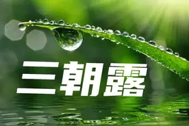 “十月三朝露，来年伏天塘底走大路”，啥预兆？其他农谚怎么说图片