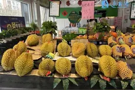 价格自4月以来下降明显 榴莲进入销售旺季 市民期待价格再便宜一些图片