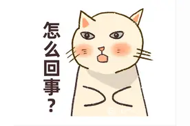 通过新公司面试，入职却被拒……男子傻眼：我原工作都辞了！图片