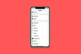 如何在 iPhone 上查找已保存的密码图片